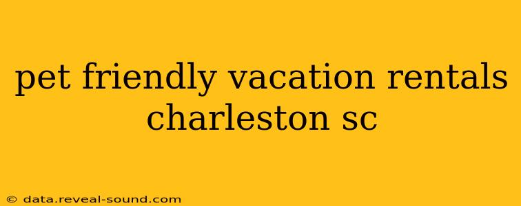 pet friendly vacation rentals charleston sc