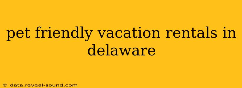 pet friendly vacation rentals in delaware