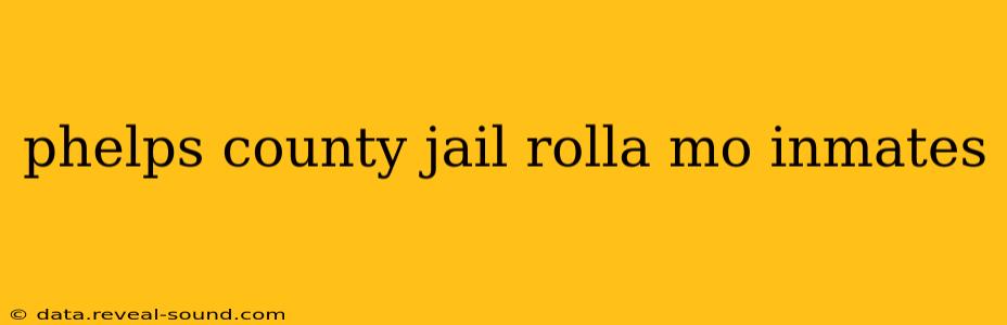 phelps county jail rolla mo inmates