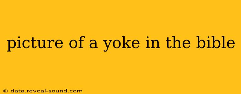 picture of a yoke in the bible