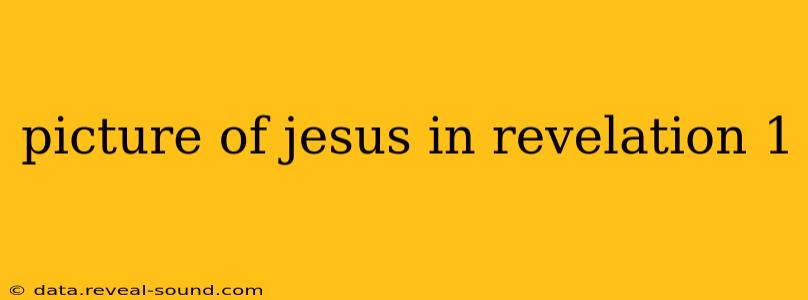 picture of jesus in revelation 1