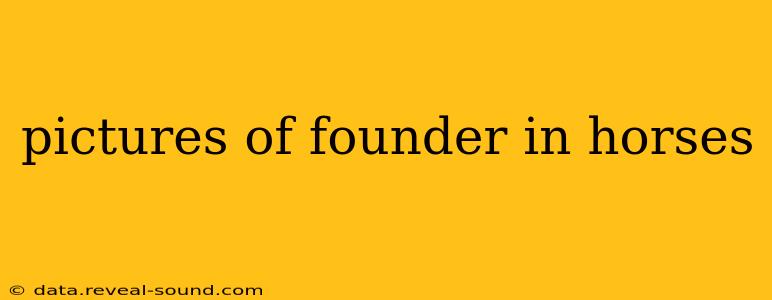 pictures of founder in horses