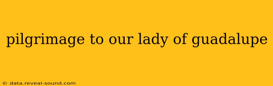 pilgrimage to our lady of guadalupe