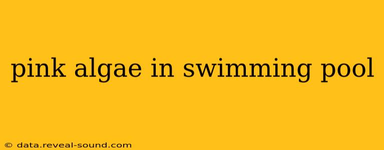 pink algae in swimming pool