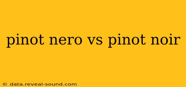 pinot nero vs pinot noir