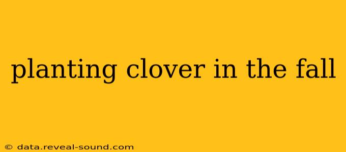 planting clover in the fall