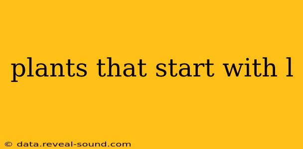 plants that start with l