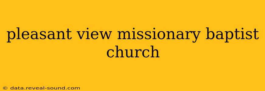pleasant view missionary baptist church