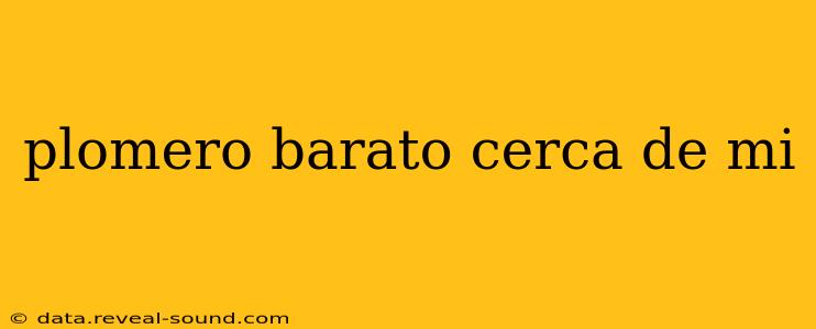 plomero barato cerca de mi