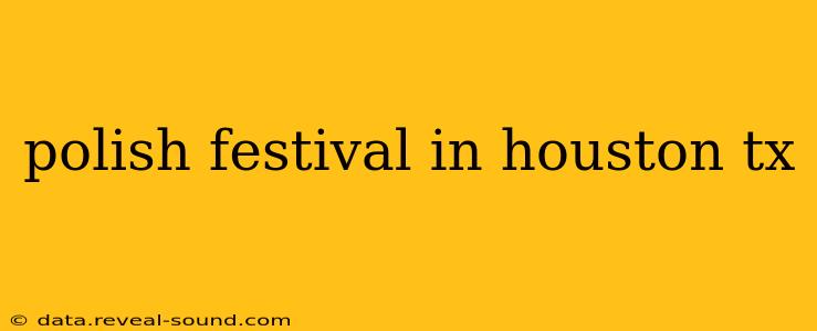 polish festival in houston tx