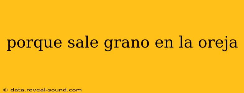 porque sale grano en la oreja