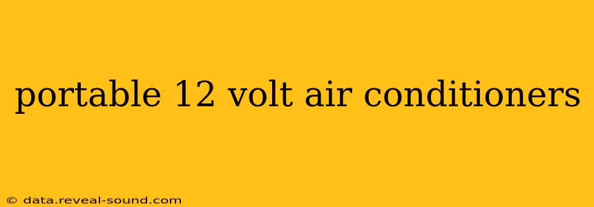 portable 12 volt air conditioners