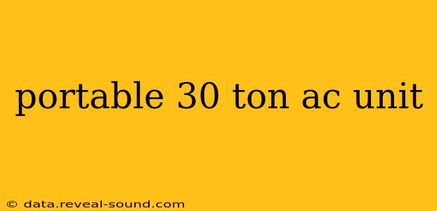 portable 30 ton ac unit