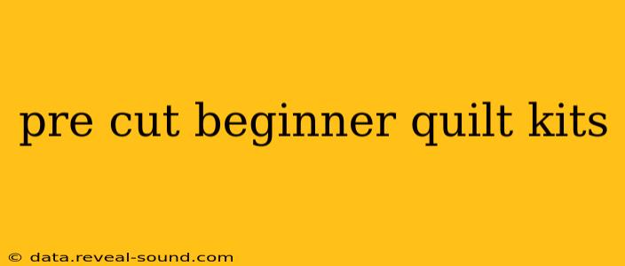 pre cut beginner quilt kits