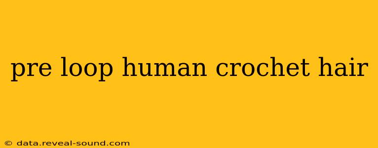 pre loop human crochet hair