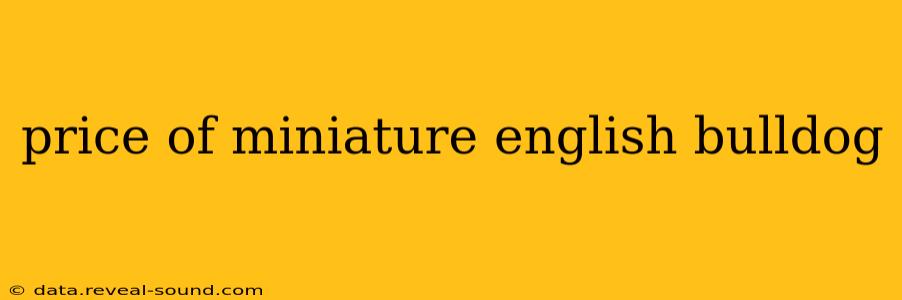 price of miniature english bulldog