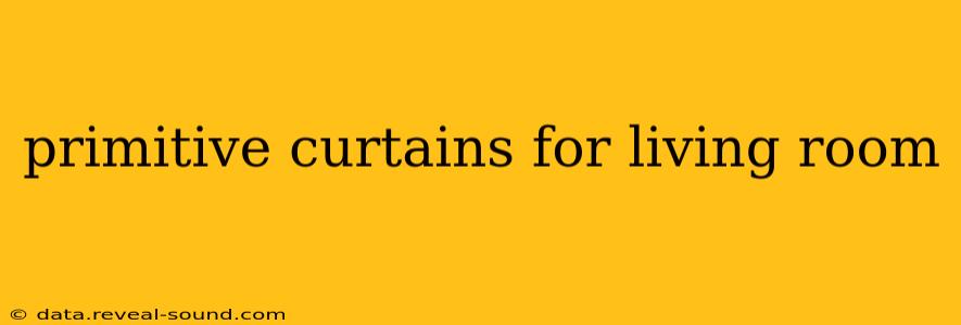 primitive curtains for living room