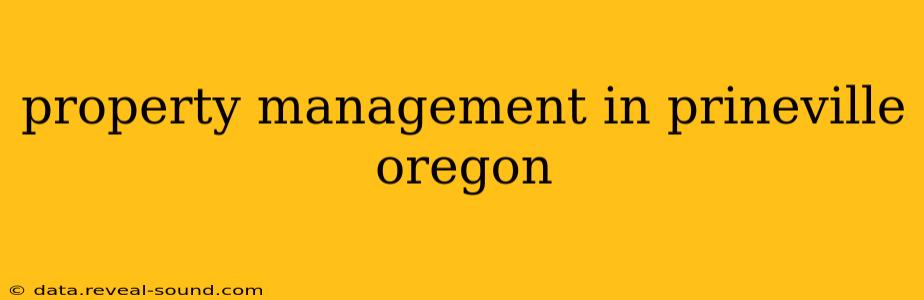 property management in prineville oregon