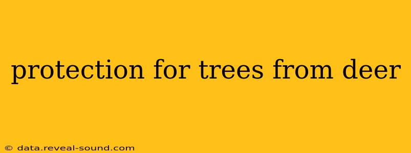 protection for trees from deer