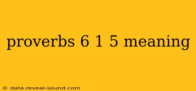 proverbs 6 1 5 meaning