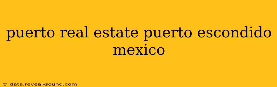 puerto real estate puerto escondido mexico