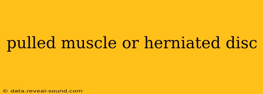 pulled muscle or herniated disc