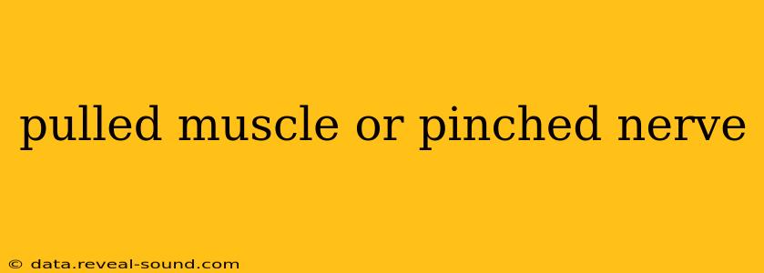pulled muscle or pinched nerve