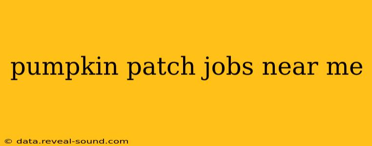pumpkin patch jobs near me