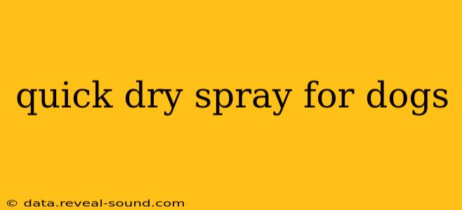 quick dry spray for dogs