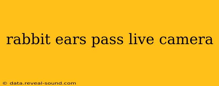 rabbit ears pass live camera