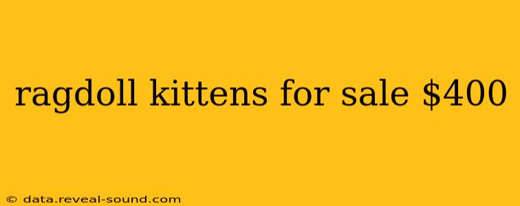 ragdoll kittens for sale $400