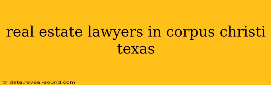 real estate lawyers in corpus christi texas