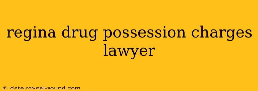 regina drug possession charges lawyer