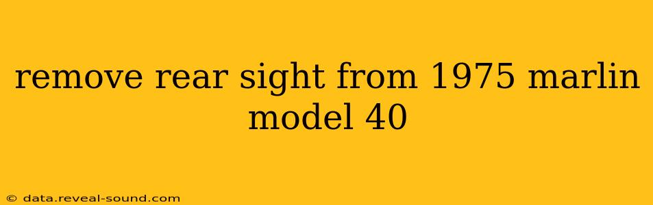 remove rear sight from 1975 marlin model 40