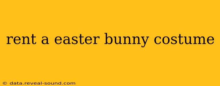 rent a easter bunny costume