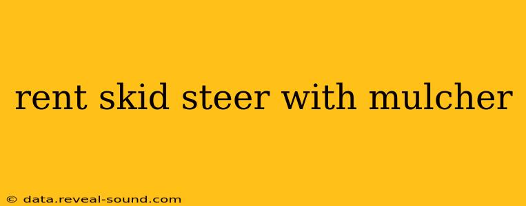 rent skid steer with mulcher