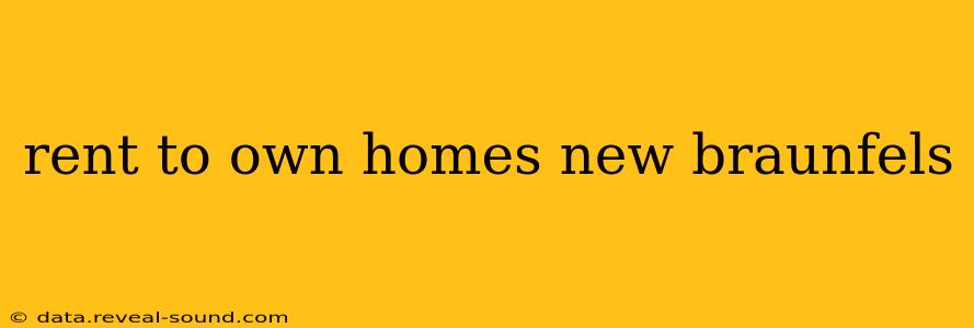 rent to own homes new braunfels