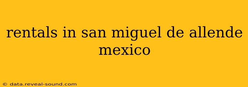 rentals in san miguel de allende mexico