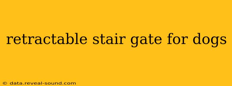 retractable stair gate for dogs