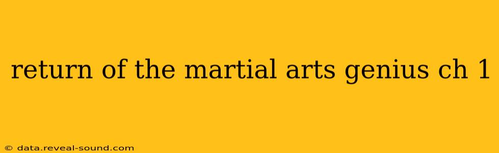 return of the martial arts genius ch 1
