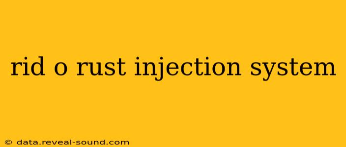 rid o rust injection system