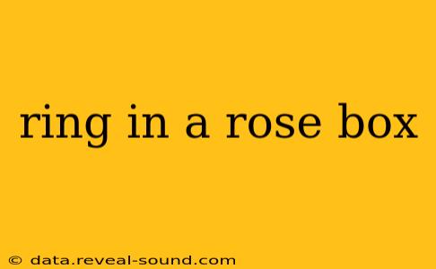 ring in a rose box