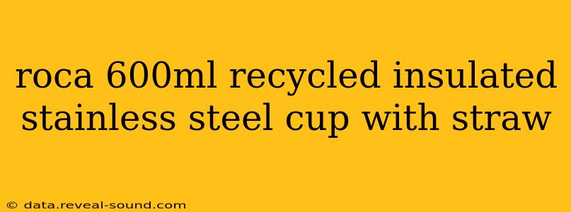 roca 600ml recycled insulated stainless steel cup with straw