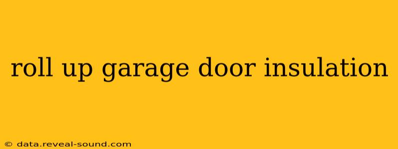 roll up garage door insulation