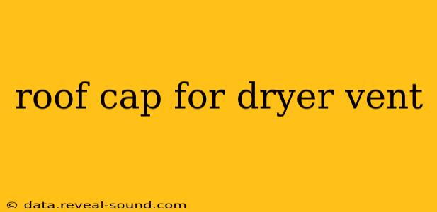 roof cap for dryer vent