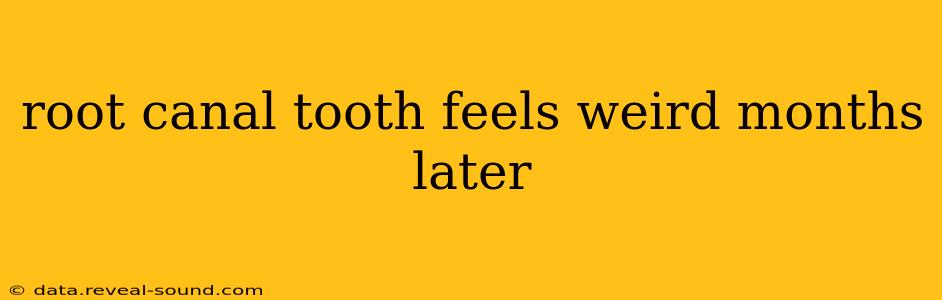 root canal tooth feels weird months later
