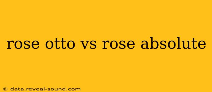 rose otto vs rose absolute