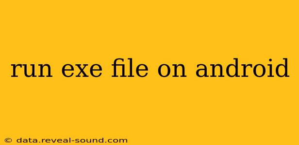 run exe file on android