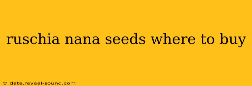 ruschia nana seeds where to buy