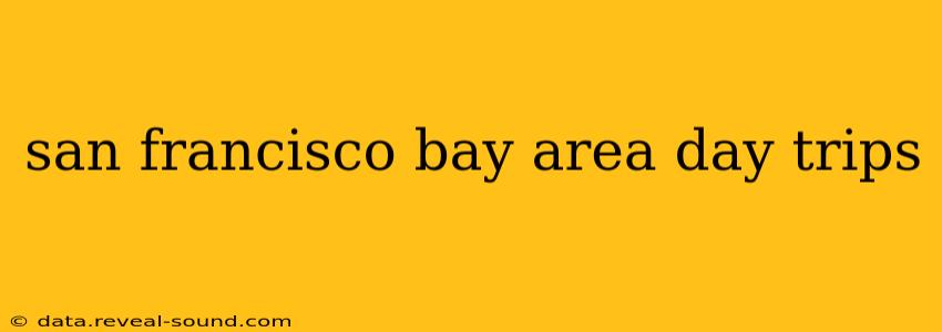 san francisco bay area day trips